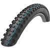 Schwalbe Hans Dampf 29x2,60 EVO SpeedGrip