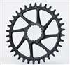 GARBARUK CORONA ROTONDA CANNONDALE AI HOLLOWGRAM