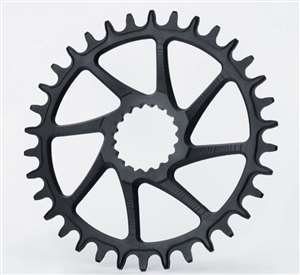 GARBARUK CORONA ROTONDA CANNONDALE AI HOLLOWGRAM