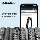 Kit di Conversione Schwalbe Clik Valve SV1 (2x Valvole con Tappo e Chiave)