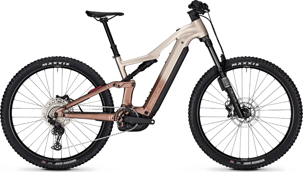 Focus THRON2 6.8 ABS 800Wh Adamantsilver / Platinumbronze 29 (S)