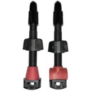 Tubeless Tire Valve Set Barbieri Presta Carbonaria